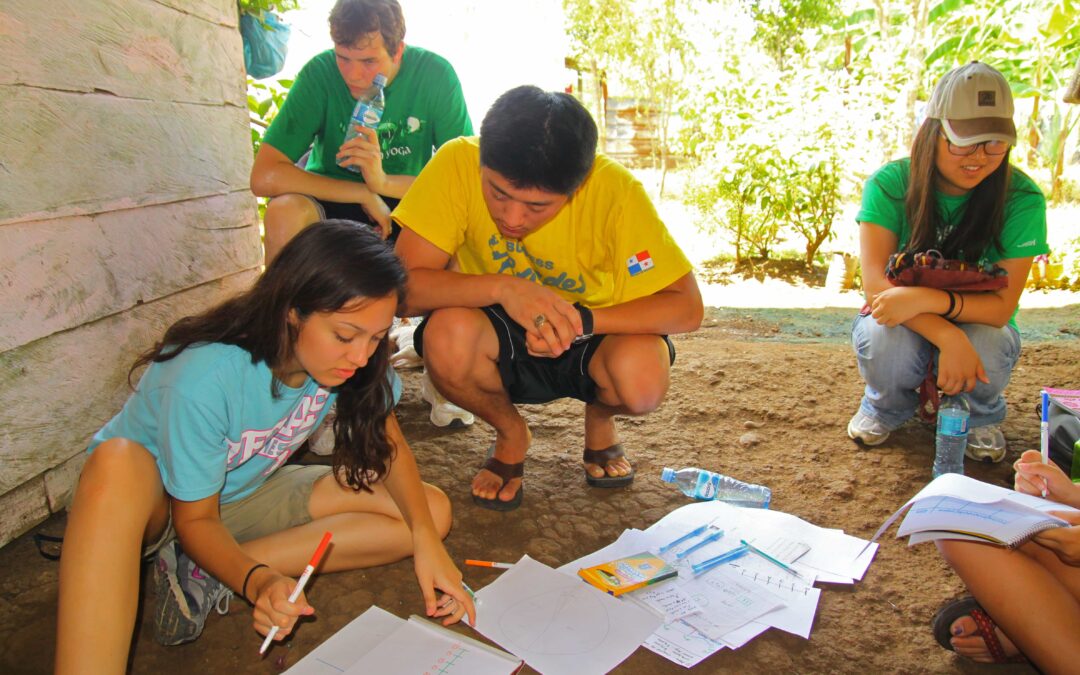 Business Entrepreneurship – Entrepreneurs in Emerging Economies (Panama)
