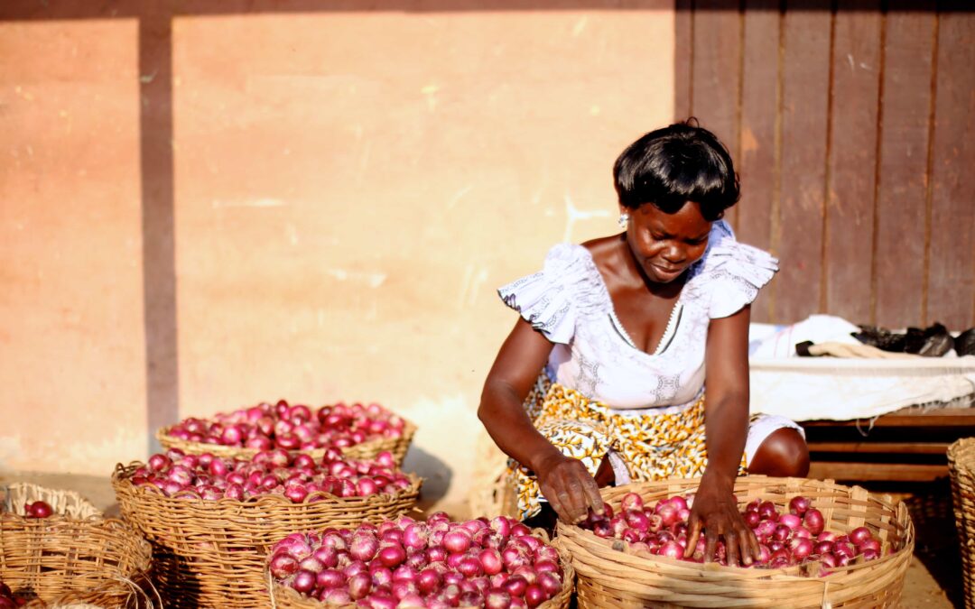 Business Entrepreneurship – Entrepreneurs in Emerging Economies (Ghana)
