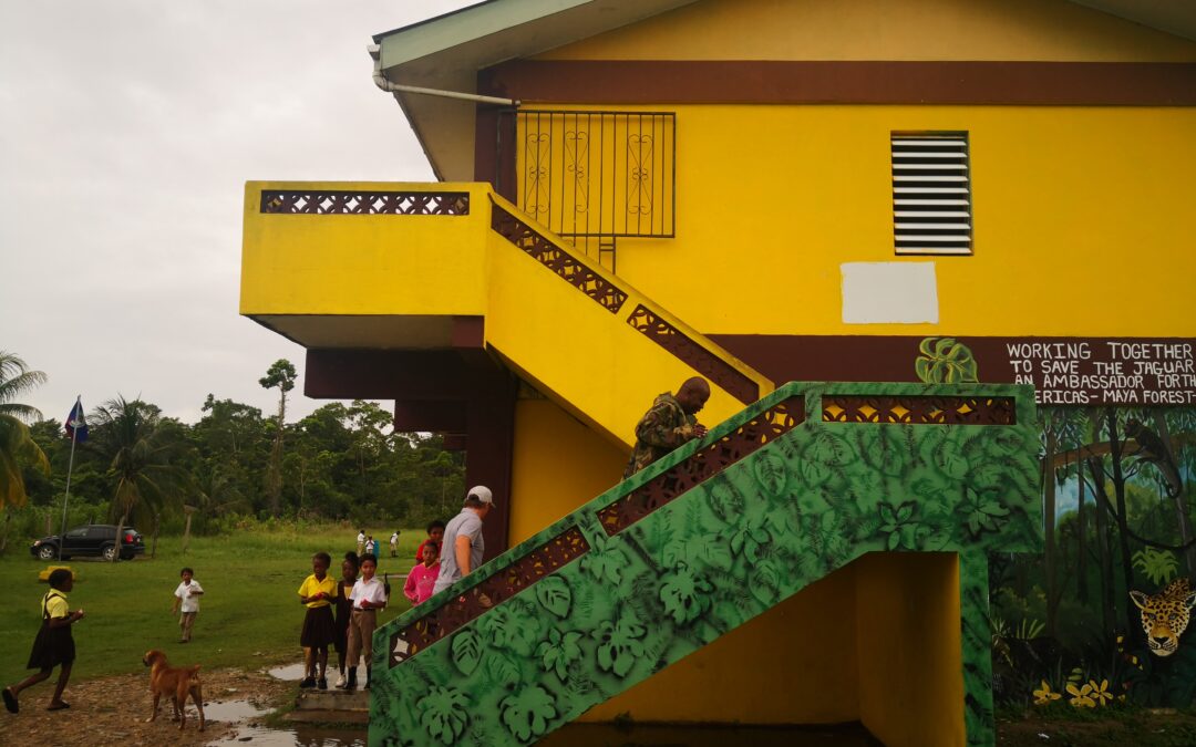 Expanding Nursing Clinical Skills in a Developing Country (Belize)