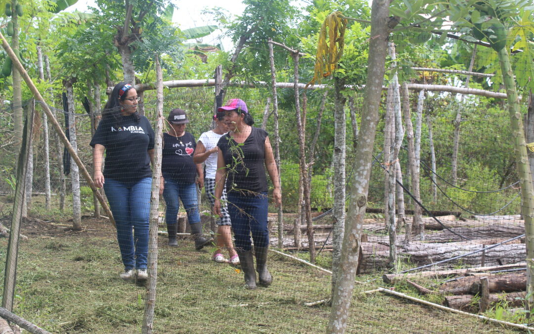 The Global Business Challenge – Asynchronous