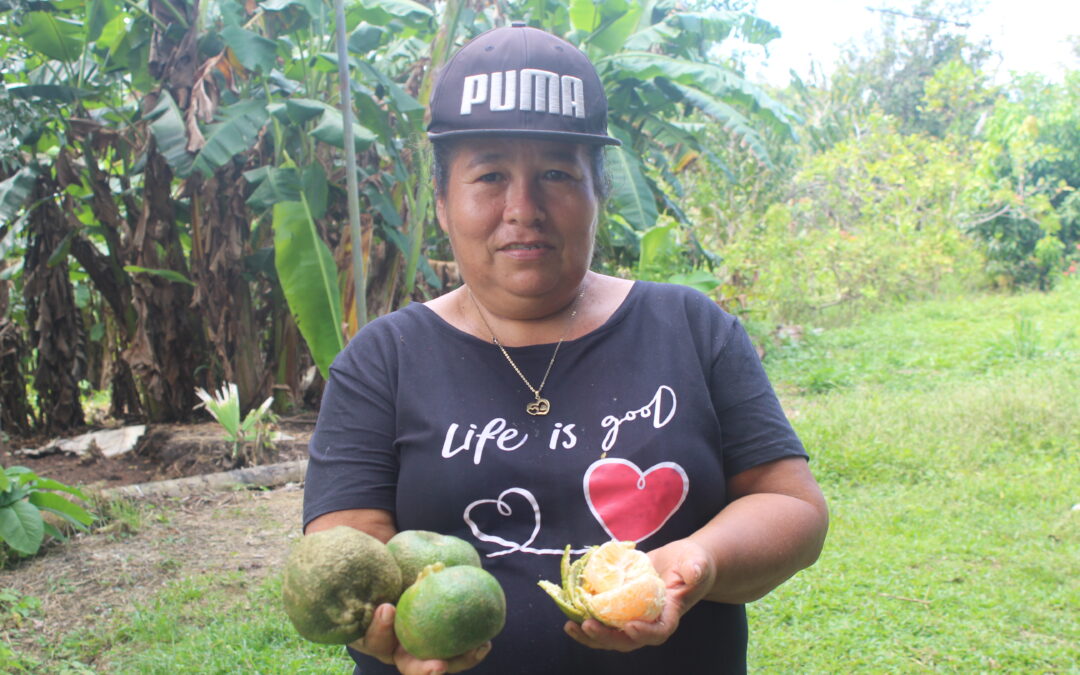 Introducing the Kambia Global Business Challenge